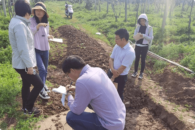 Rice and Kiwi get Climate-Smarter