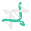 Seed Systems Development