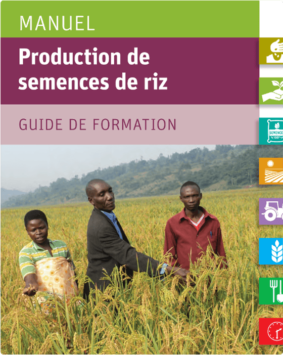 Manuel Production de semences de riz Guide de formation