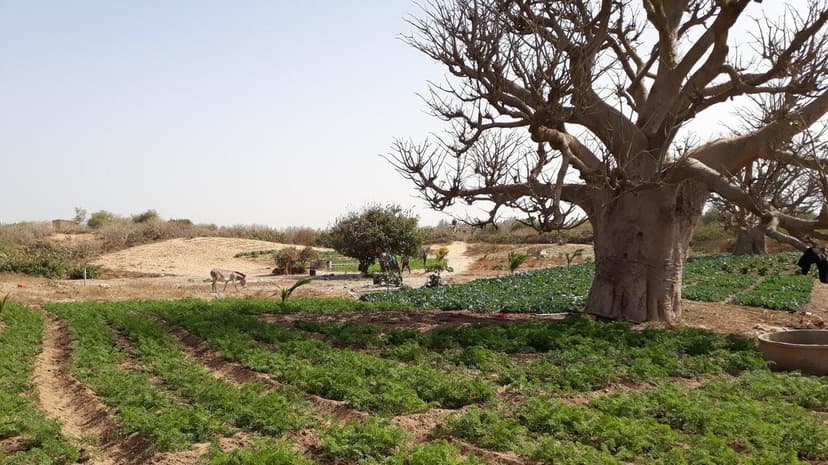Rural Entrepreneurship and Youth Empowerment