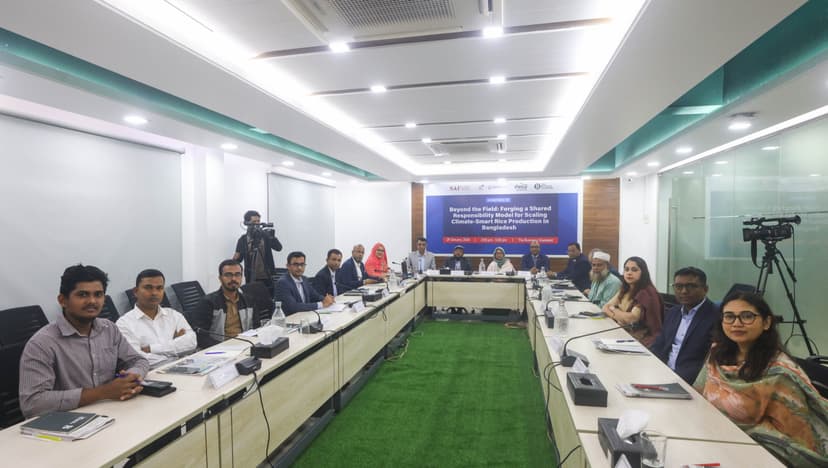 Beyond the Field: Forging a Shared Responsibility Model for Scaling Climate-Smart Rice Production in Bangladesh