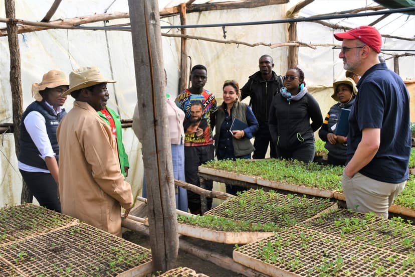 Resilience and Sustainability